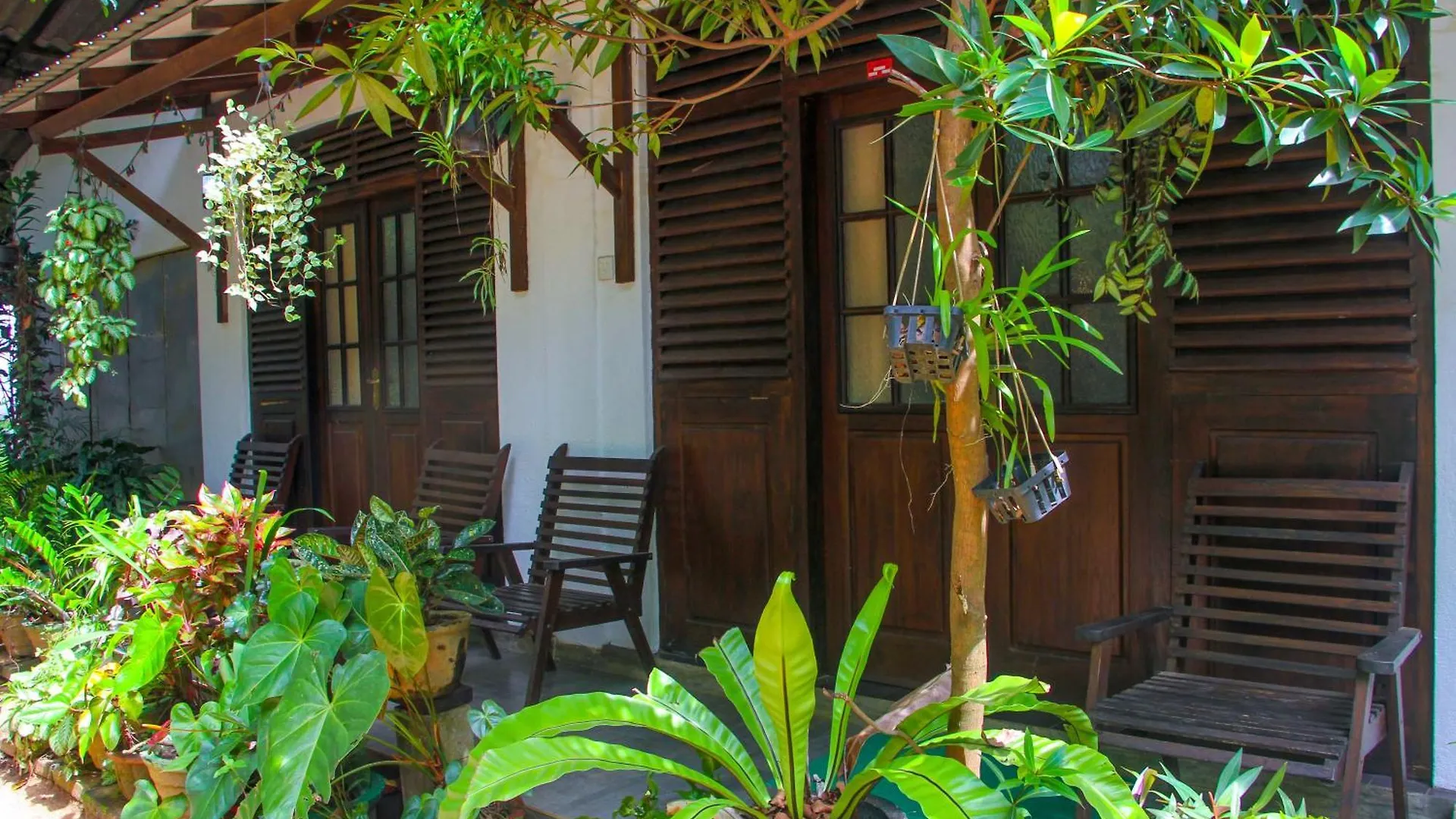 The Sigiriya Rock Hostel