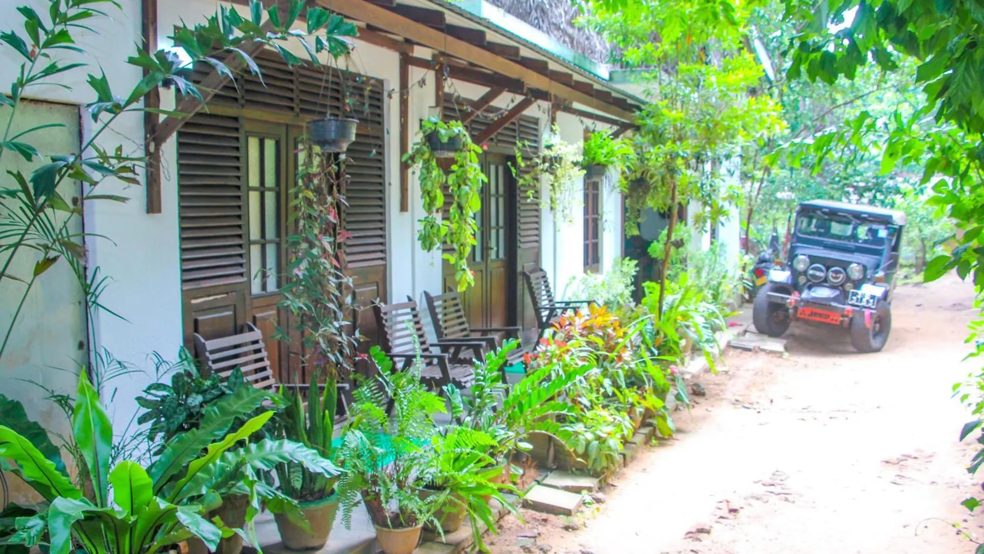 The Sigiriya Rock Hostel ゲストハウス