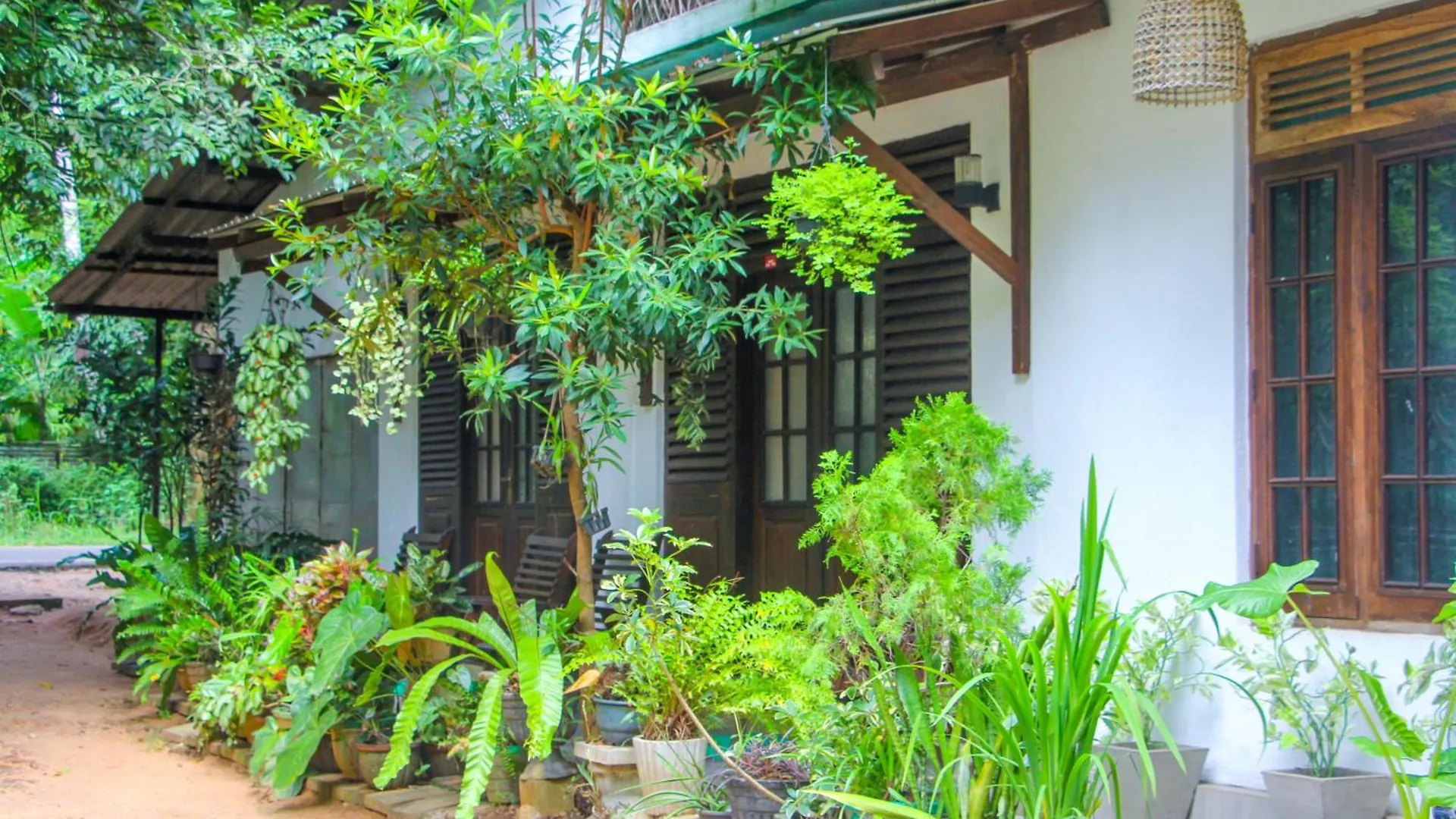 The Sigiriya Rock Hostel