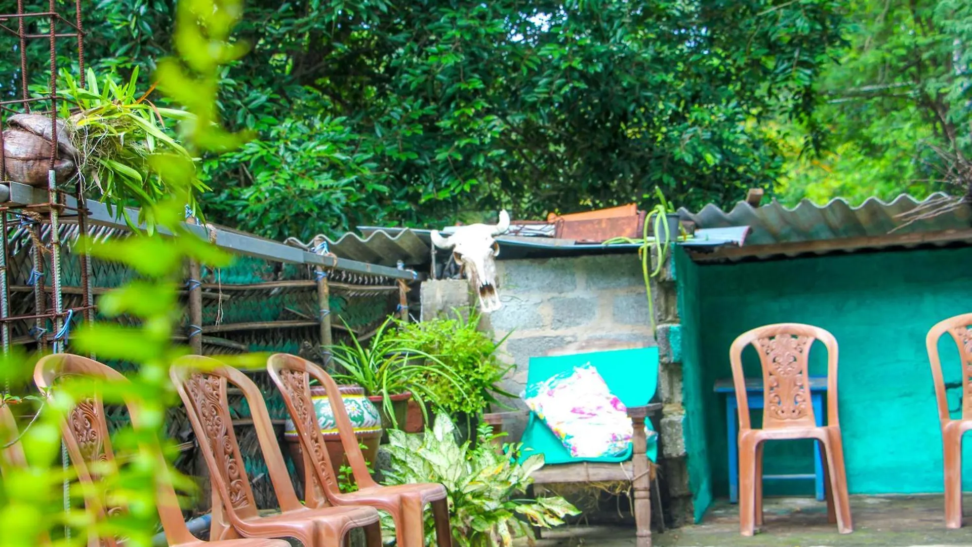 ゲストハウス The Sigiriya Rock Hostel スリランカ